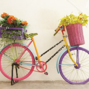 Transformação de uma bicicleta em uma floreira